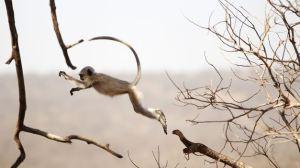 Cómo matar una idea Cómo matar una idea