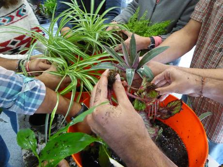 Curso de jardines verticales