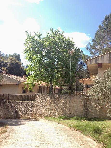 Planes para hacer con niños sin salir de la Comunidad I Planes para hacer con niños sin salir de la Comunidad I