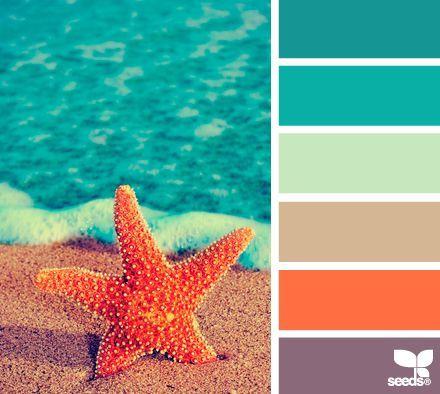 Color scheme option for patio.  Love these colors, they are just not in my color pallet!
