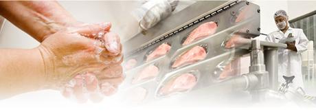 La inocuidad de los alimentos inocuidad-alimentaria