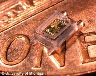 Michigan Micro Mote: Un ordenador del tamaño de un grano de arroz