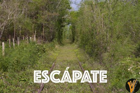 12 Palabras de Inspiración escapate