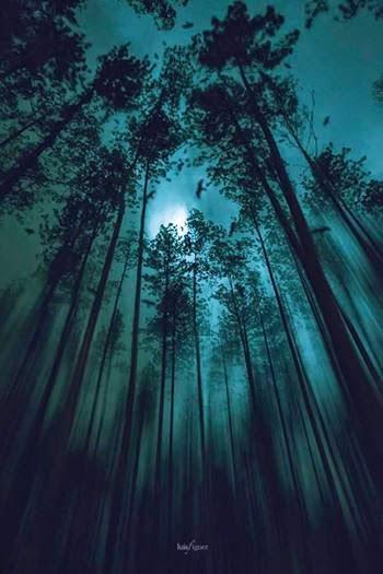 COMO NOS DUELE DESPERTAR... COMO NOS DUELE DESPERTAR...