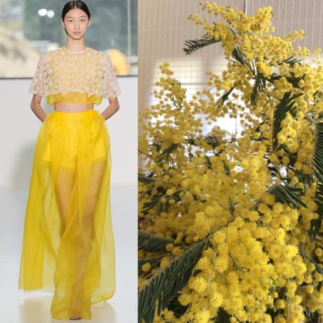 La primavera es renacer. Del Pozo es primavera image