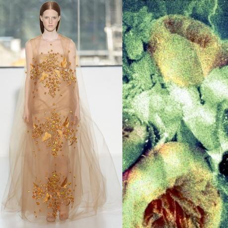 La primavera es renacer. Del Pozo es primavera image