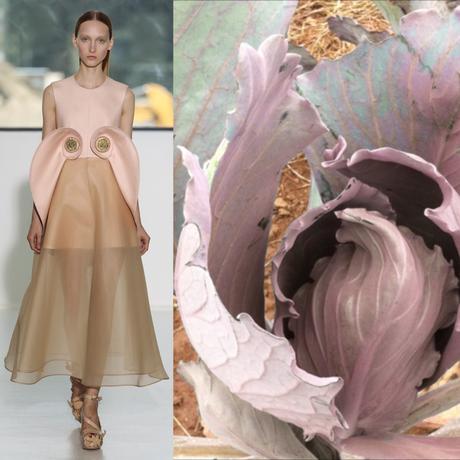 La primavera es renacer. Del Pozo es primavera image