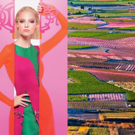 La primavera es renacer. Del Pozo es primavera image