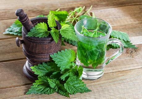 Propiedades medicinales de la Ortiga : Antianémica y depurativa ortiga-2bcocina
