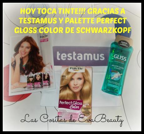 Hoy toca tinte!!!! Gracias a TESTAMUS y Palette Perfect Gloss Color de Schwarzkopf Hoy toca tinte!!!! Gracias a TESTAMUS y Palette Perfect Gloss Color de Schwarzkopf