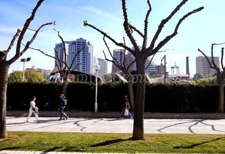 El Jardín del Turia, el pulmón verde de Valencia