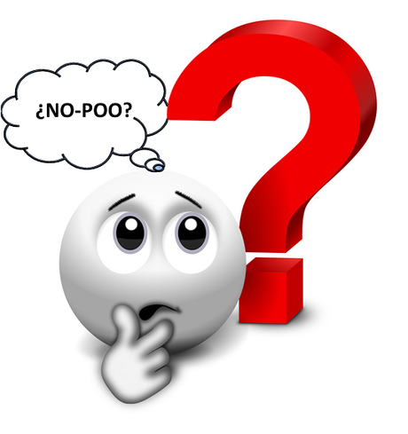 El No-Poo ¿si o no? duda sobre el no-poo