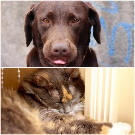 #pregnancy: Preguntas y respuestas #pregnancy: Preguntas y respuestas