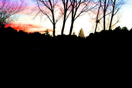 ENERGÍAS LIMPIAS Y RENOVABLES ENERGÍAS LIMPIAS Y RENOVABLES