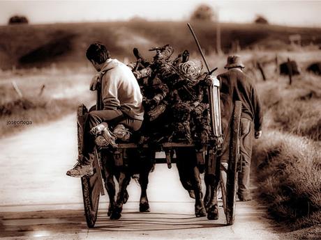 De ruta por los bares del buen comer de Cádiz