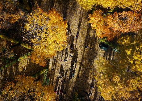 DESDE UN DRON vistas_aereas_3