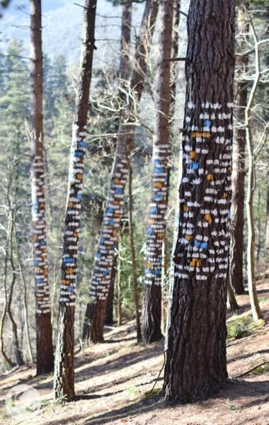 Oma Forest. Bizkaia (Spain)