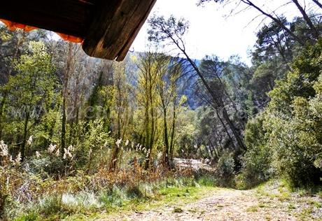 Titaguas y sus parajes naturales, senderismo por el Alto Turia valenciano