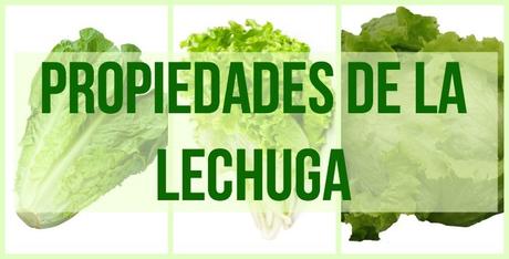 propiedades de la lechuga Propiedades y maravillas de le lechuga