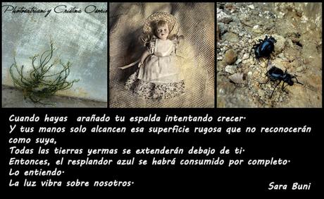 Las MICROGRAFÍAS de Emotionage Literografía-Photosatriani-Emotionage