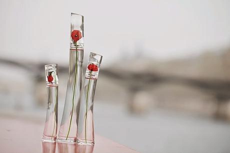 » Blog of the Month: Trotamodas » Blog of the Month: Trotamodas