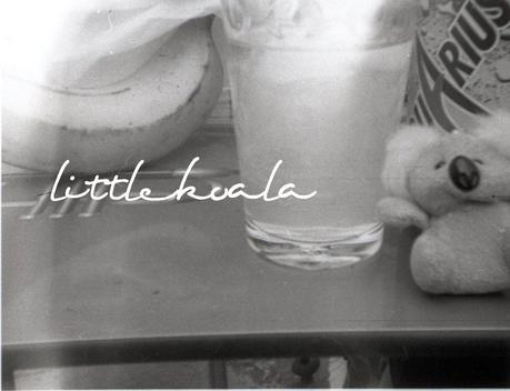 Proyecto de la A a la Z: K de koala Proyecto de la A a la Z: K de koala