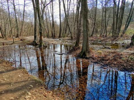 Santa Fe del Montseny