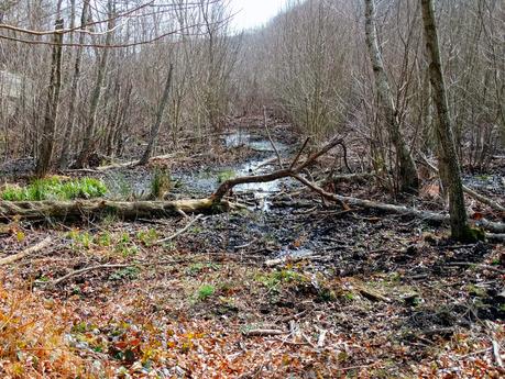 Santa Fe del Montseny