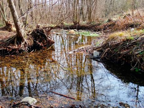 Santa Fe del Montseny