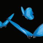 Mariposas robot o drones mariposa, llegan las eMotionButterflies eMotionButterflies