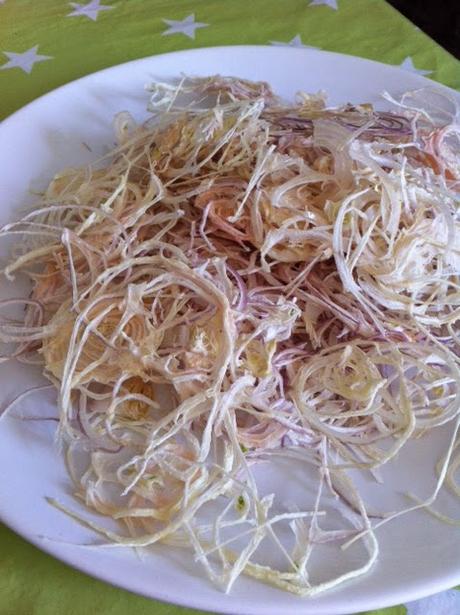 DESHIDRATANDO CEBOLLA DESHIDRATANDO CEBOLLA