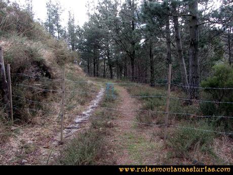 Ruta Alto Aristebano, Estoupo, Capiella Martín: Alambrada en el camino