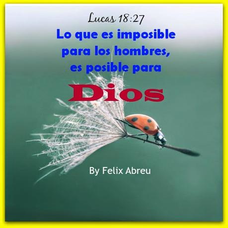 DIOS DE LO IMPOSIBLE