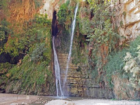 Viajar a Israel por libre: Guía Práctica Oasis-Ein-Gedi-Israel