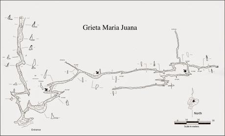 Peces en una cueva de Ecuador Peces en una cueva de Ecuador