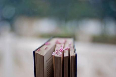 Progreso de Lecturas #1.