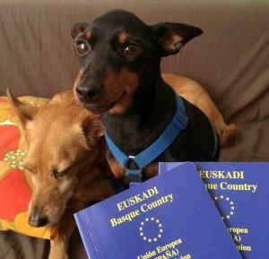 Requisitos para viajar con perros – Documentación y vacunas. Requisitos-para-viajar-con-perros-Furgoneteo.com