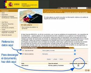 Requisitos para viajar con perros – Documentación y vacunas. Requisitos-para-viajar-con-perros-Furgoneteo.com