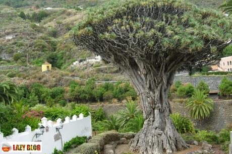 Tenerife. Un lugar ideal para un viaje corto o escapada en el que desconectar