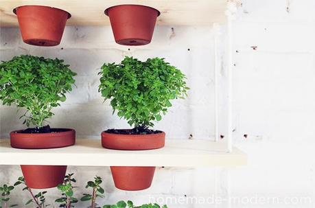 DIY: PASO A PASO para hacer UN JARDÍN DE INTERIOR EN CASA DIY: PASO A PASO para hacer UN JARDÍN DE INTERIOR EN CASA