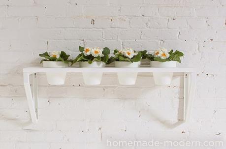 DIY: PASO A PASO para hacer UN JARDÍN DE INTERIOR EN CASA DIY: PASO A PASO para hacer UN JARDÍN DE INTERIOR EN CASA