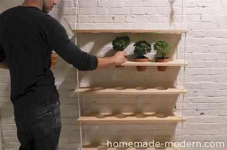 DIY: PASO A PASO para hacer UN JARDÍN DE INTERIOR EN CASA DIY: PASO A PASO para hacer UN JARDÍN DE INTERIOR EN CASA