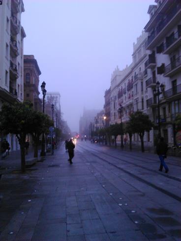 A principios de marzo, Sevilla amanecía de esta guisa...