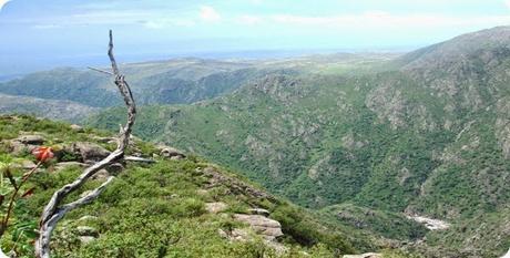 Ecoturismo en Córdoba: Parque Nacional Quebrada del Condorito y Reserva Hídrica Provincial Pampa de Achala.