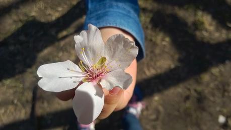 Parque la Quinta de los Molinos Parque la Quinta de los Molinos