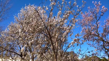 Parque la Quinta de los Molinos Parque la Quinta de los Molinos