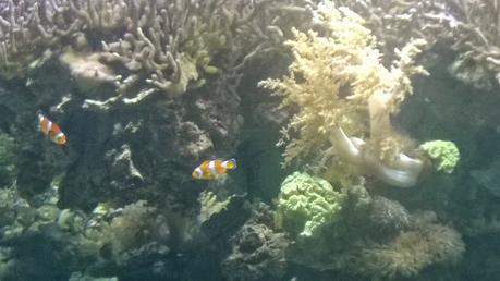 Despidiendo el verano a principios de Noviembre en Gandia Despidiendo el verano a principios de Noviembre en Gandia