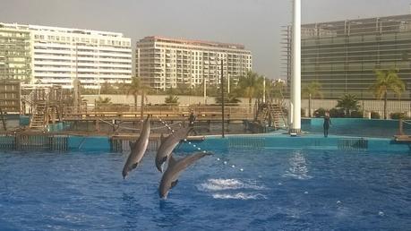 Despidiendo el verano a principios de Noviembre en Gandia Despidiendo el verano a principios de Noviembre en Gandia
