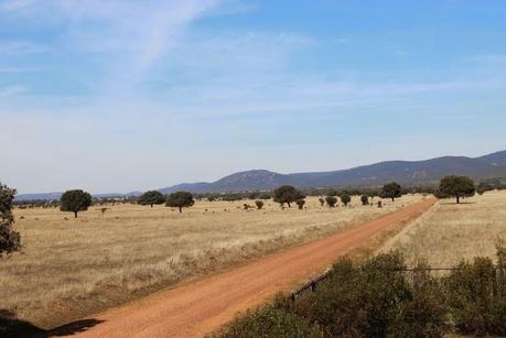 Visita Parque Cabañeros Visita Parque Cabañeros