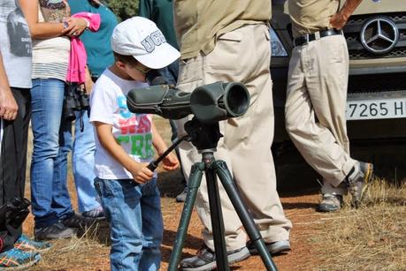 Visita Parque Cabañeros Visita Parque Cabañeros